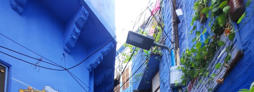 Visite à pied du patrimoine de la ville bleue de Jodhpur