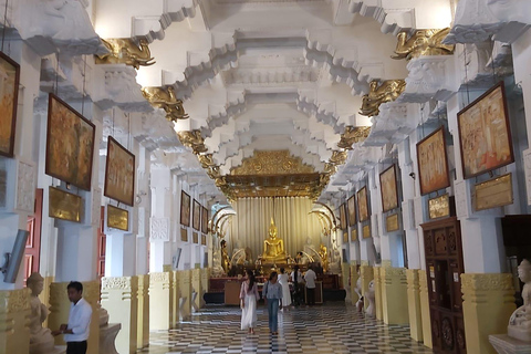 Kandy e Pinnawala: Descubra a cultura e a natureza em uma excursão de um dia.