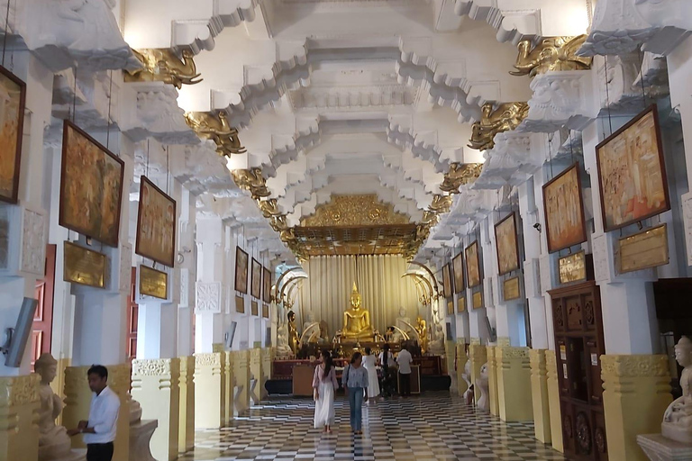 Kandy et Pinnawala : Découvrez la culture et la nature en une journée...