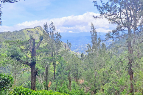 Paquete turístico de 10 días en Sri Lanka - Lo mejor de Sri Lanka