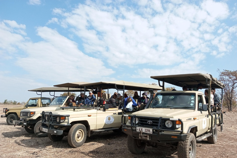 Safari des rhinocérosSafari en 4x4 et promenade à dos de rhinocéros