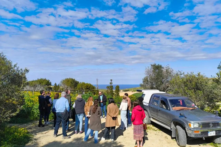 Gozo: Family Winery Estate Tour with Wine Tasting Gozo: Family Estate Tour with Wine Tasting