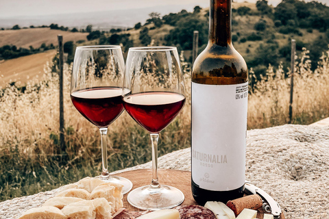 La Maliosa Farm Experience & Wine Tasting