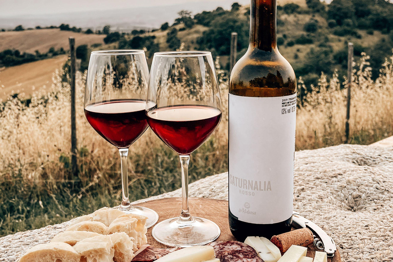 Upplevelse av gården La Maliosa &amp; vinprovning