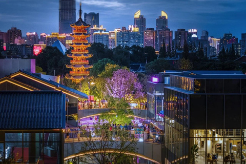 Shanghai: Longhua Temple Buddhist tour with local expert