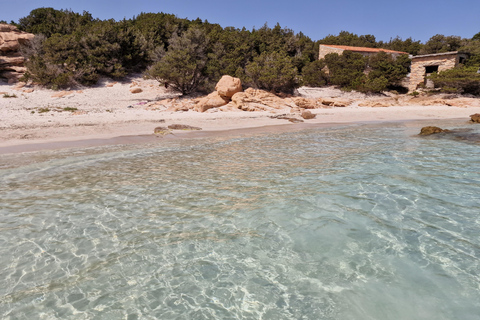 From Palau: La Maddalena Archipelago 4 Stops Boat Tour From Palau: La Maddalena Archipelago Full-Day Boat Tour