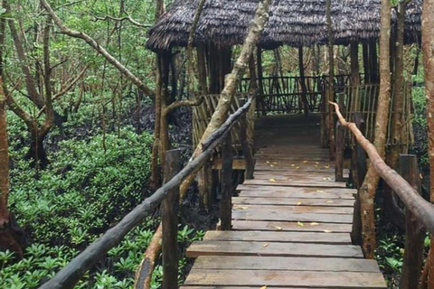 ZANZIBAR: Isola delle Prigioni, Foresta di Jozani e Butterfly CenterIL TOUR PRIVATO INCLUDE IL SERVIZIO DI PRELIEVO E RIENTRO IN HOTEL