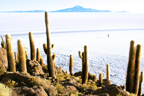 Depuis Cusco : Excursion au salar d&#039;Uyuni 3 jours / 2 nuits