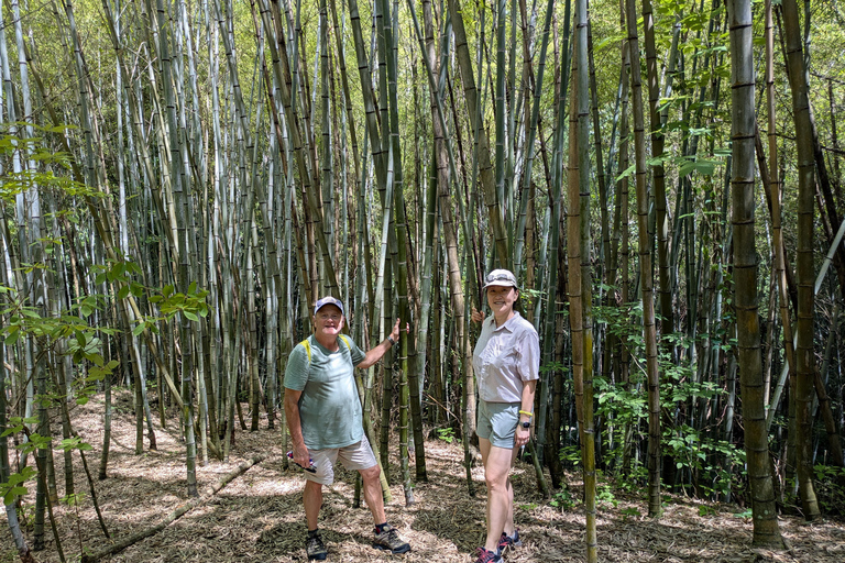 8-timmars Nakasendo-vandring från Nagoya – licenserad guide och bil8-Hour Nakasendo Hike from Nagoya – Licensed Guide &amp; Car