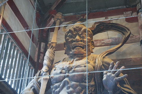 Excursión Privada de un Día a lo Más Destacado de Nara y Osaka