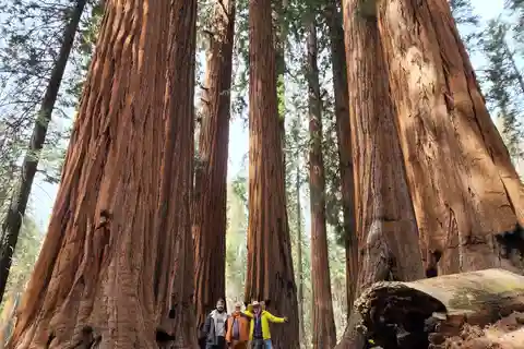 Sequoia National Park: Private Guided Hiking Tour