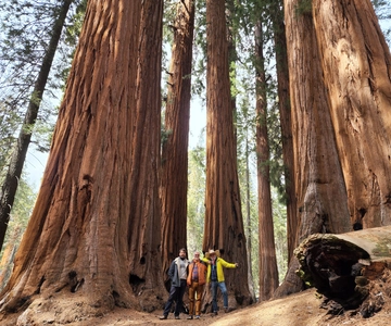 Sequoia National Park: Private Guided Hiking Tour