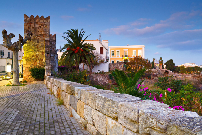 Bodrum: Kos Island Day Trip with Ferry and Transfer