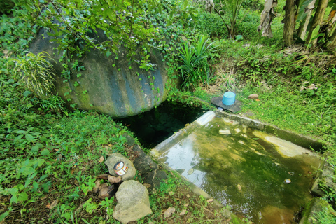 Colombo: Tour delle piantagioni di tè e delle tenute di gomma con pranzo