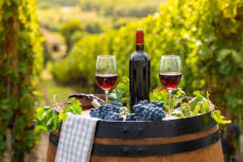 From Zagreb to Varaždin: Market, Food &amp; Winery Tasting TourPrivate Tour from Zagreb to Varaždin: Market, Food &amp; Winery