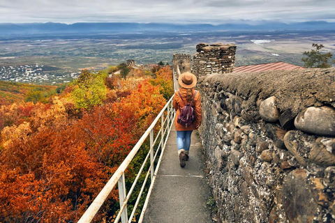 Tbilisi: Kakheti Wine Region Tour Sighnaghi, Bodbe & Alazani Guided Tour with Wine Tastings
