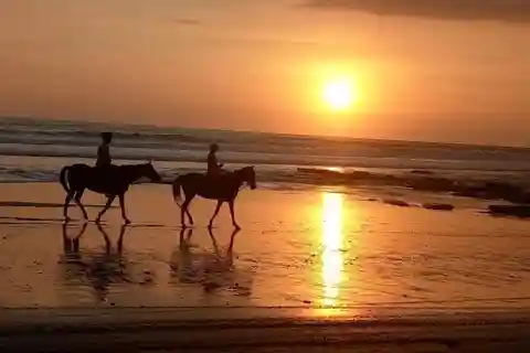 Bali: Horse Riding on the Beach and Rice field Tour