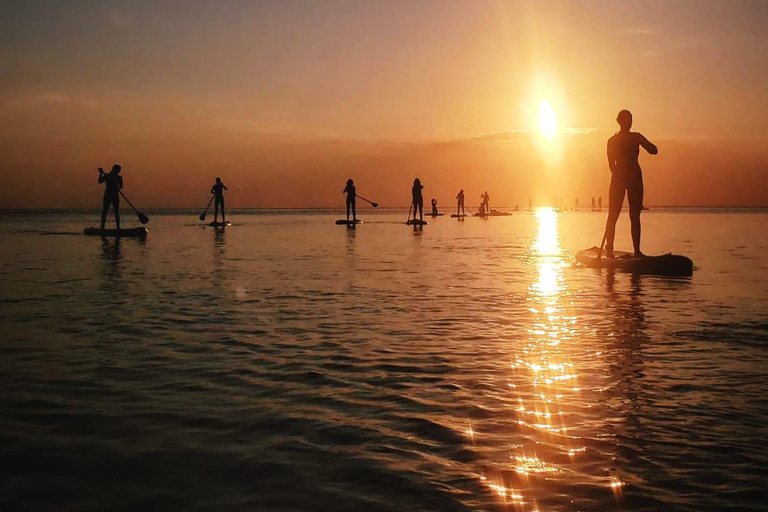 Zanzibar: Unik guidad mangrovetur med SUP eller kajak