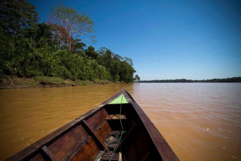 Puerto Maldonado: 3-Day Amazon Lodge Tour