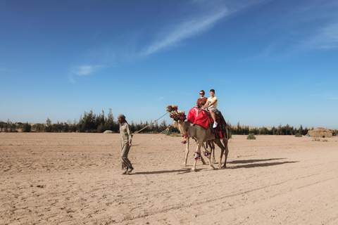 Passeio de camelo com pôr do sol e observação de estrelasServiço de busca no hotel em Hurghada