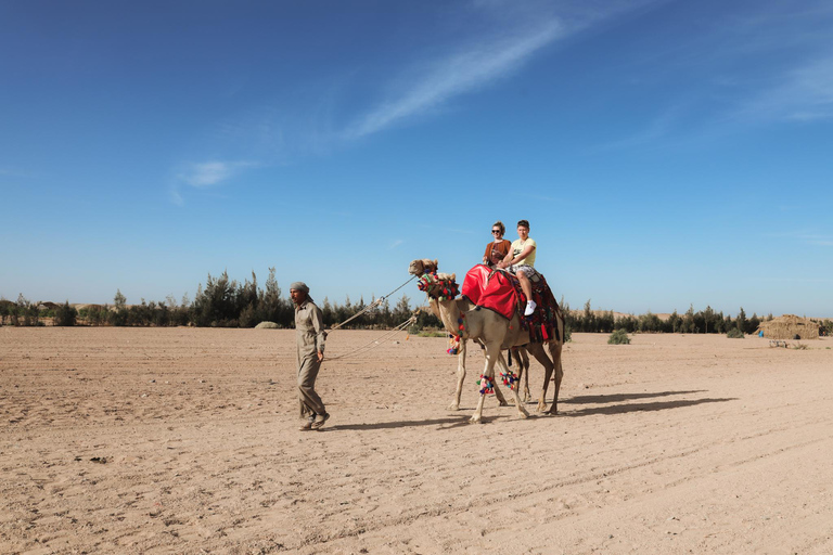 camel ride with sunset and star watchingpickup from hotels inside hurghada