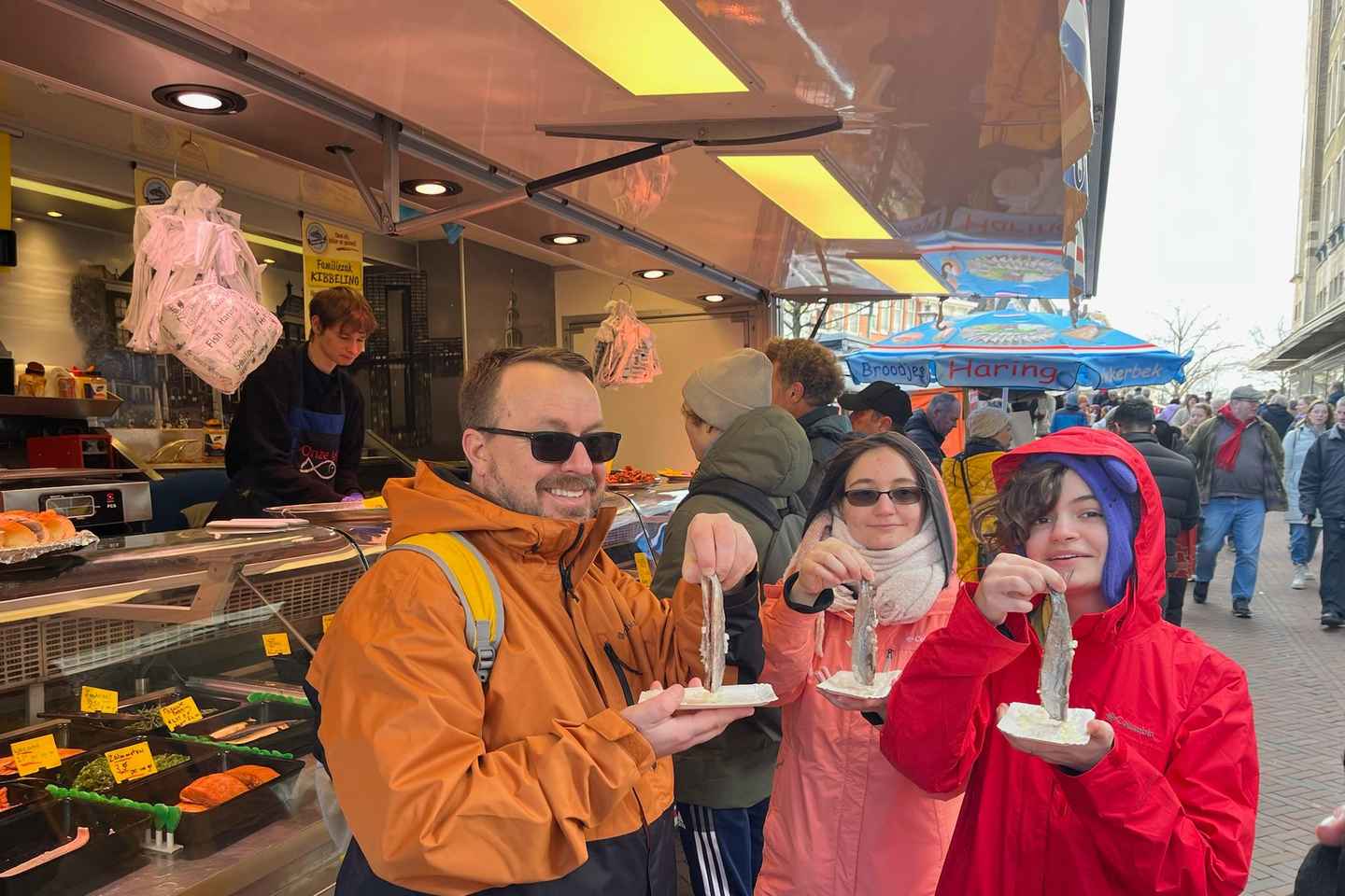 Kinderdijk Vindmyllur, Delft Bær & Delft Bláa Verksmiðja Heimsókn