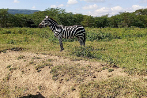 From Nairobi: Lake Nakuru National Park Safari with Lunch