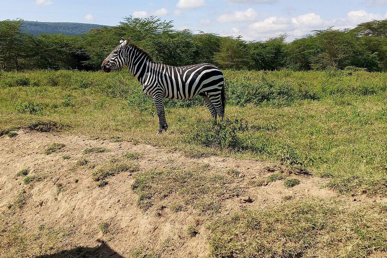 From Nairobi: Lake Nakuru National Park Safari with Lunch