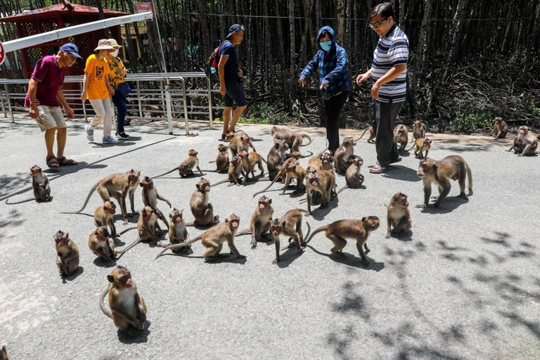 Från Ho Chi Minh: Privat Can Gio-Vam Sat mangroveskog