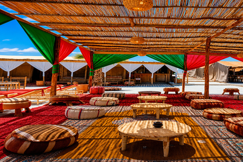 Marrakech: Agafay Desert Quad & Camel Rides with Dinner Show
