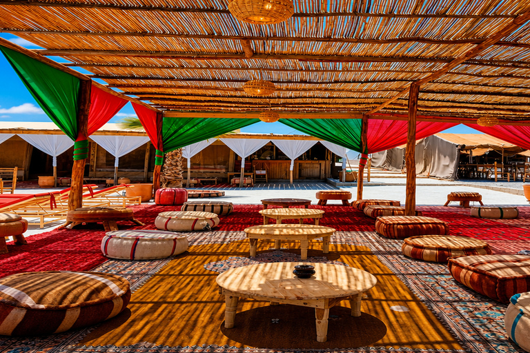 Marrakech: Agafay Desert Quad & Camel Rides with Dinner Show