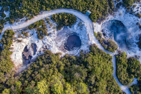 From Auckland: Hobbiton & Wai-O-Tapu - Small Group Tour