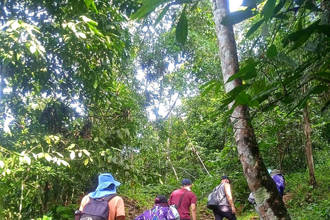 Cali: Pacific Jungle Trek to Hidden Pools & La Sirena Falls