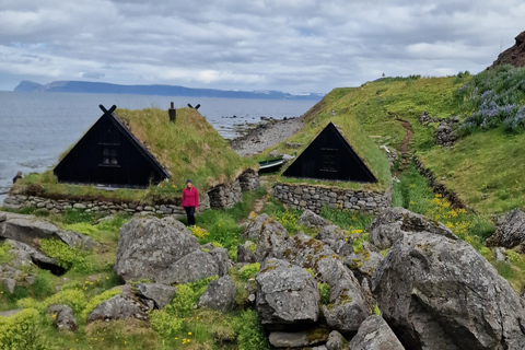 Ísafjörður Shore Excursion: Dynjandi & Westfjords