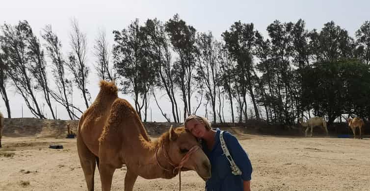 Bahrain in a Day from City Lights to Desert Landscapes photo 5