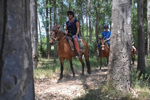 Marmaris: Guided Horseback Riding Tour with Hotel Pickup Horseback Riding Experience with Hotel Transfers