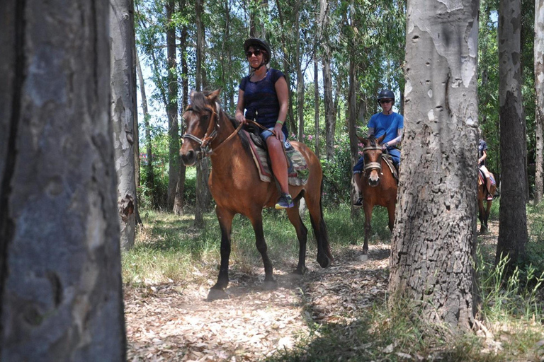 Marmaris: Guided Horseback Riding Tour with Hotel Pickup Horseback Riding Experience with Hotel Transfers