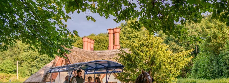 Killarney : 1 heure d'excursion à cheval et en calèche avec Jaunting Car