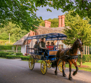 Excursiones en carroza en Killarney