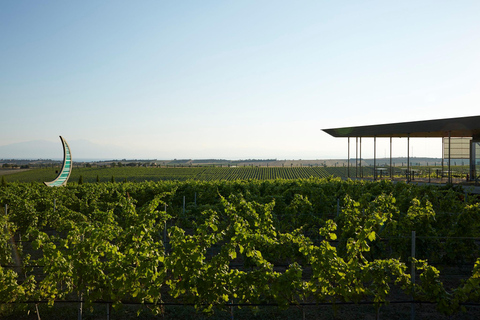 Epanomi Wine Escape: Fine Wines, Vineyards & Wine Museum