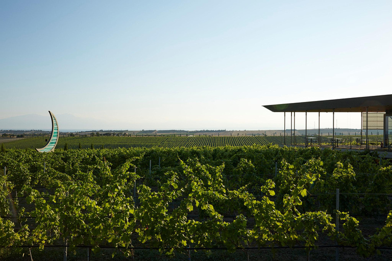Epanomi Wine Escape: Fine Wines, Vineyards & Wine Museum