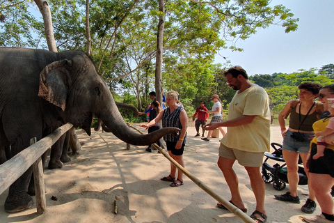 Siem Reap: Tur i liten grupp till Kulen Elephant ForestSiem Reap: Smågruppstur till Kulen Elephant Forest