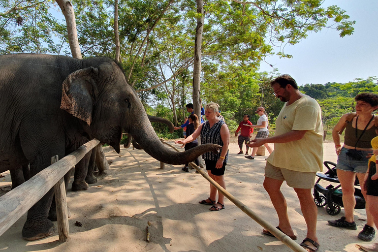 Siem Reap: Tur i liten grupp till Kulen Elephant ForestSiem Reap: Smågruppstur till Kulen Elephant Forest