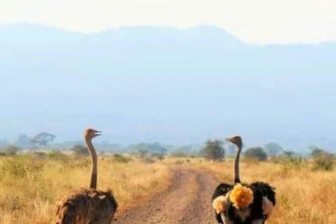 Excursão de 2 dias ao Lago Nakuru, Hell&#039;s Gate e Lago Naivasha