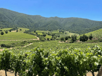 Valparaíso、ViñaDelMar、Casablanca丸1日の経験 - Housity