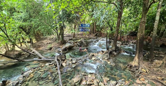 Krabi: Emerald Pool & Hot Springs Half-day tour