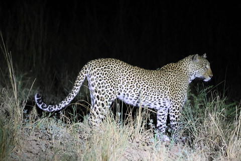 Uganda: Park Narodowy Murchison Falls