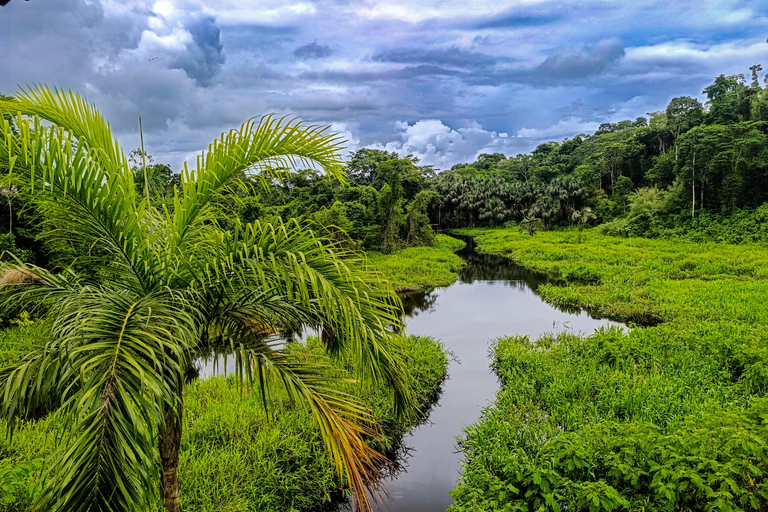 From Cusco: 3-Day Manu National Park Expedition