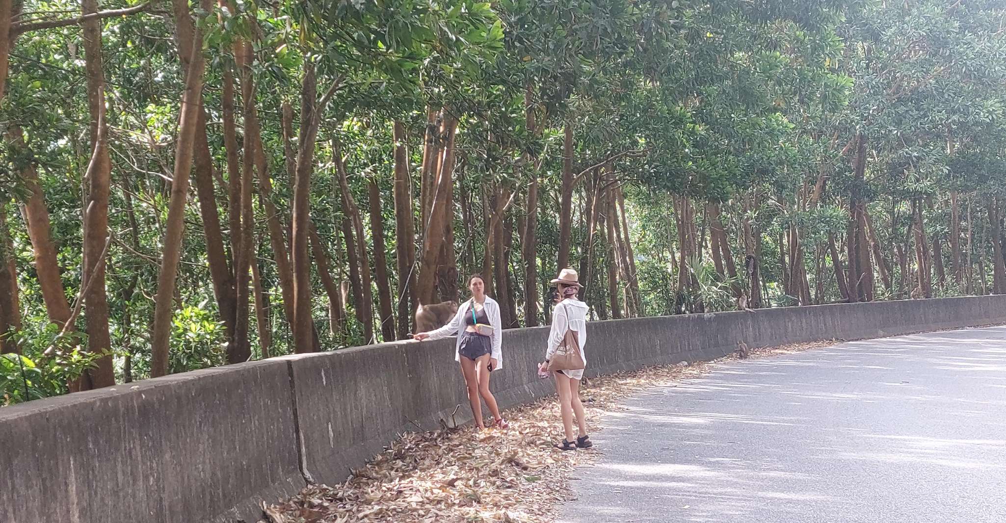 Bokor nationalpark tours, including abandoned buildings - Housity