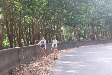 Kampot: Bokor Mountain Tour with locals Bokor Mountain Tour with an Experienced Guide